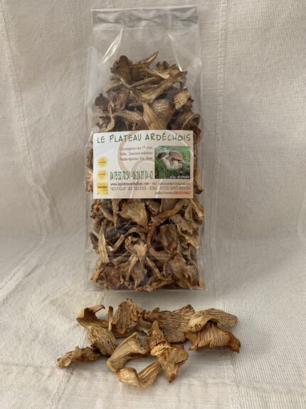 girolles 1er choix champignon