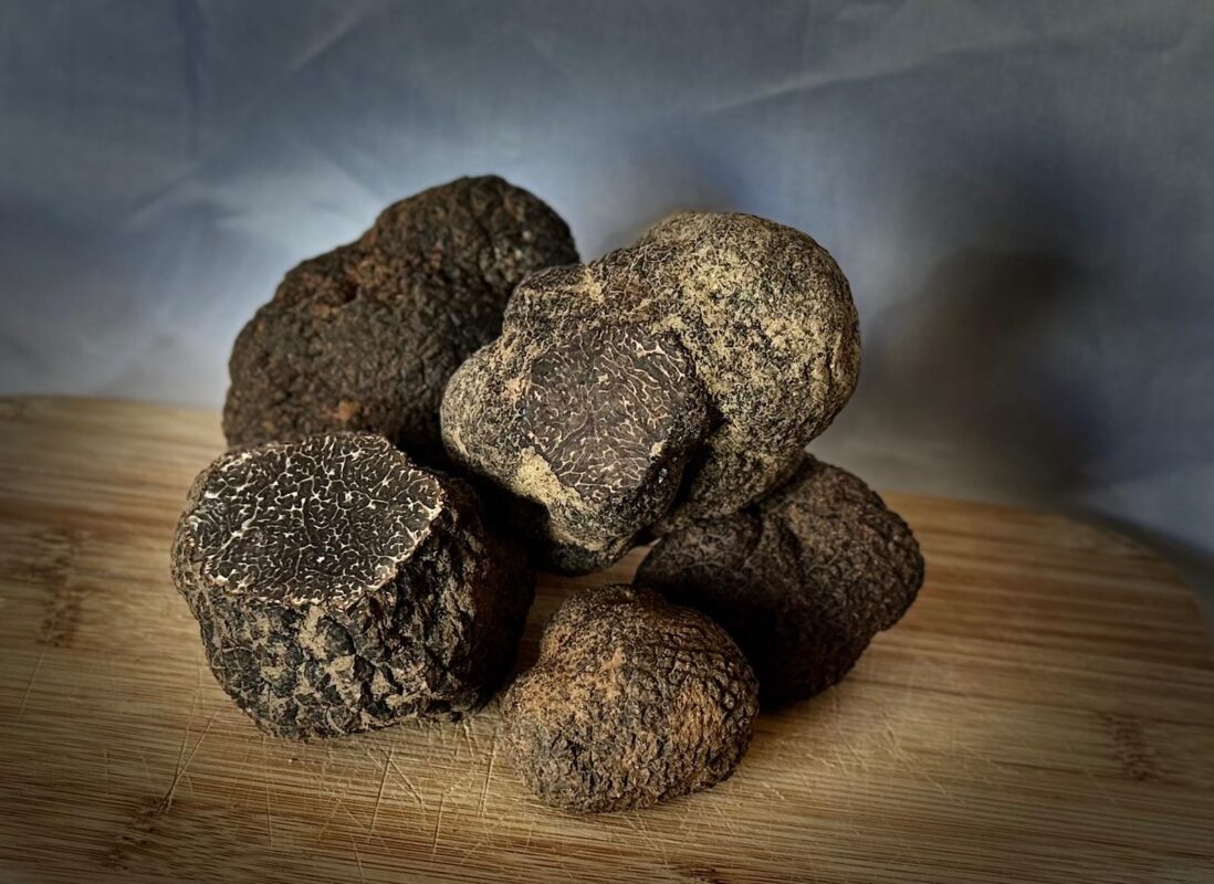 Le Plateau Ardéchois - Truffes